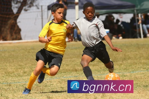 App Interface Preview